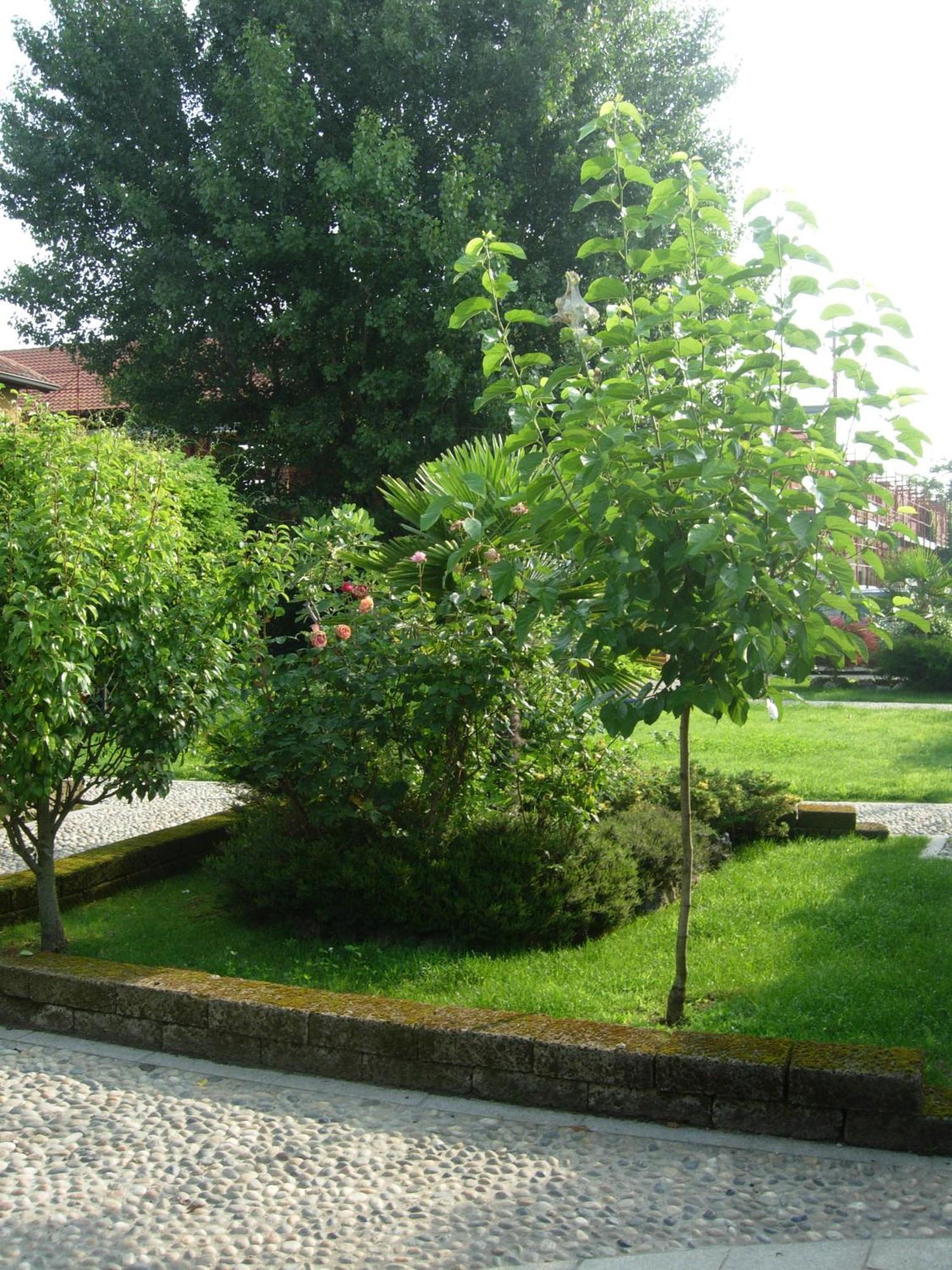 B&B Il Pioppo E La Fonte Castello d'Agogna Экстерьер фото