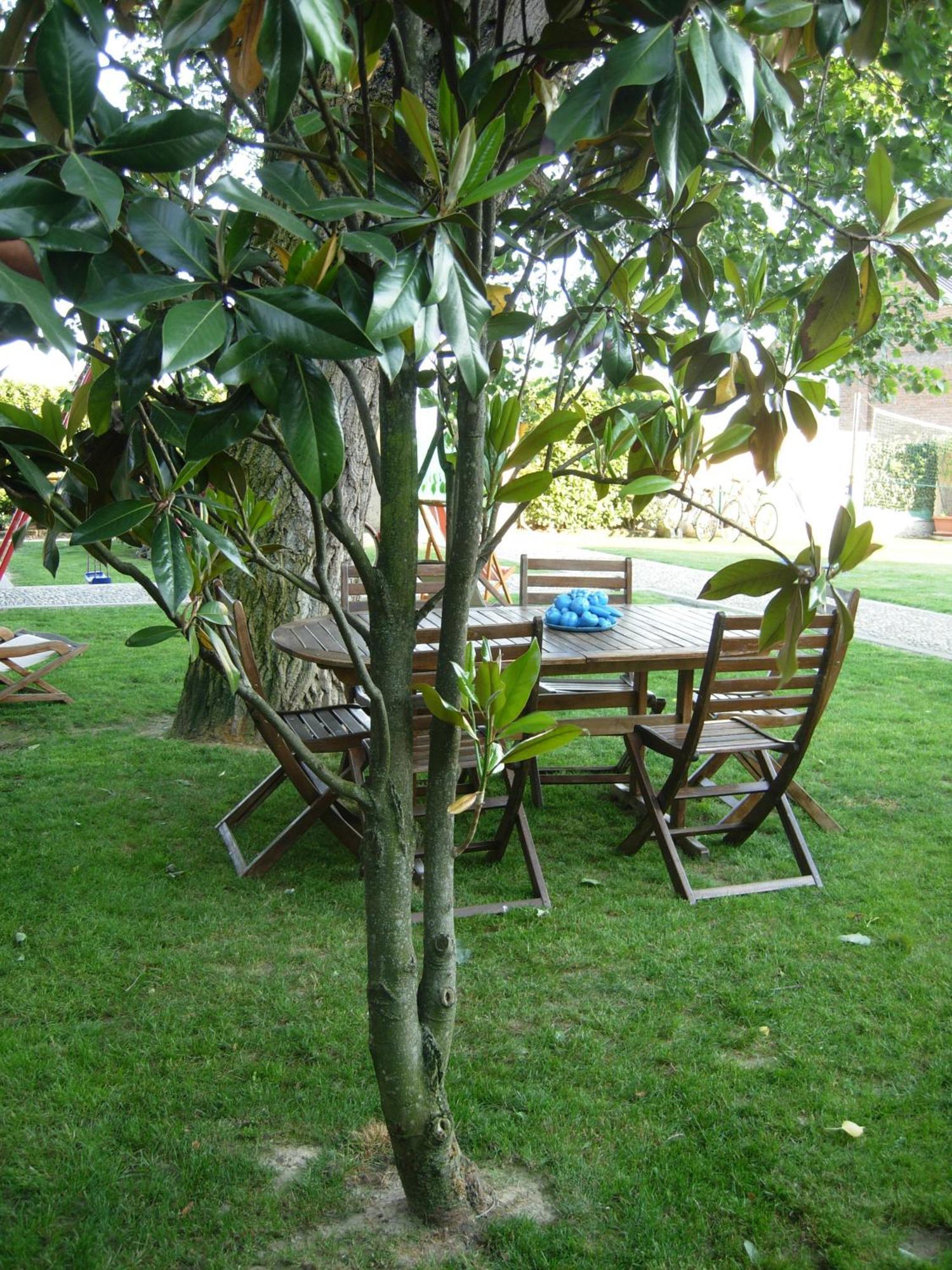 B&B Il Pioppo E La Fonte Castello d'Agogna Экстерьер фото